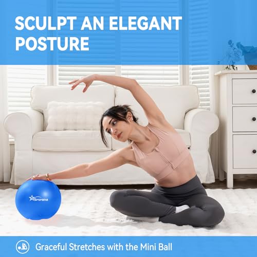 9 Inch Pilates Ball, Mini Exercise Ball for Yoga, Barre & Fitness Training - color: 1Purple