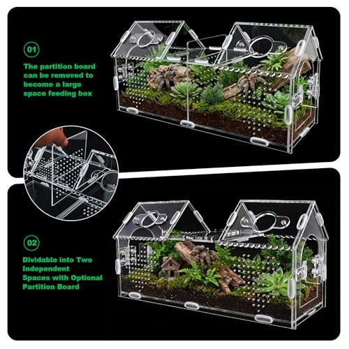 Jumping Spider Enclosure-Large Size Dual Space Tarantula Enclosure,Acrylic Side Door Double Feeding Port Spider Terrarium for Spider,Praying Mantis,Snail,Micro Reptile(12" L*3.6" W*6" H)