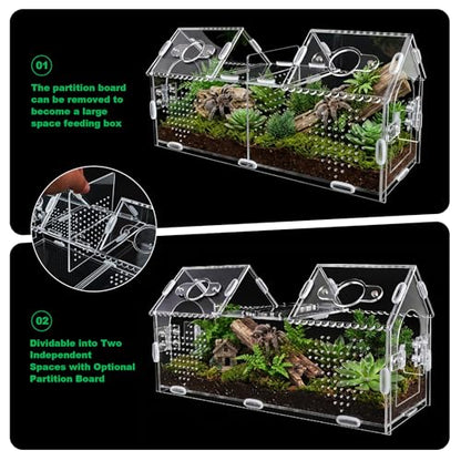 Jumping Spider Enclosure-Large Size Dual Space Tarantula Enclosure,Acrylic Side Door Double Feeding Port Spider Terrarium for Spider,Praying Mantis,Snail,Micro Reptile(12" L*3.6" W*6" H)