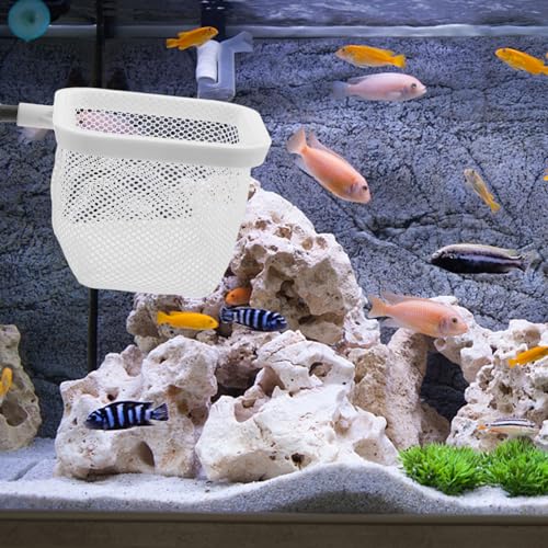 WOONEKY Fine Mesh Fish Tank Isolation Net Cups Hatching Holder for Small Fish Breeding and Spawning Aquariums Easy to Install and Clean