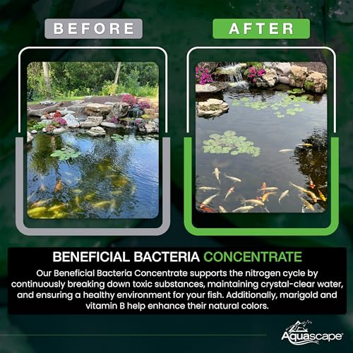 Aquascape Dry Beneficial Bacteria for Pond and Water Features, 4.4-Ounce | 98925,White - size: 0.28 lb