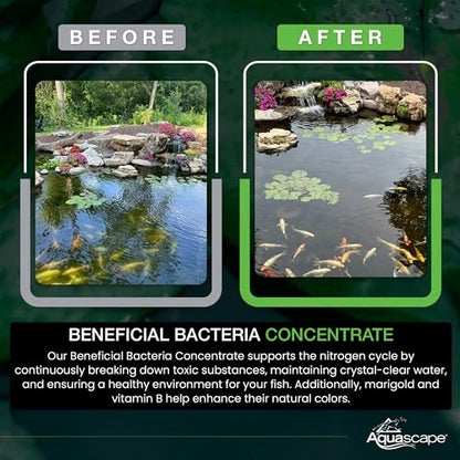 Aquascape Beneficial Bacteria Concentrate for Pond and Water Features, 1.1-Pound, 98949 - size: 1.1 lb
