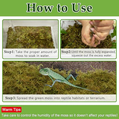 9OZ Natural Sphagnum Moss for Reptiles- 14QT Green Moss for Terrarium Plants Long Fiber Reptile Moss for Leopard Gecko Snake Hamsters Tortoises Frogs Lizards Salamanders