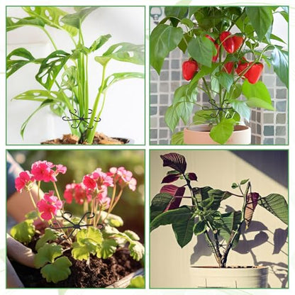 12 Pcs Plant Stem Holders, Plastic Invisible Plant Support Stakes Indoor Reusable Climbing Houseplant Stem Supports Hook Growth Accessories for Indoor Home Garden
