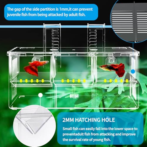 Aquarium Fish Breeding Box,Fish Tank Hatchery Incubator Breeder Box,Fish Separator for Aquarium,Acrylic Hatching Box for Baby Fishes Shrimp Betta Medium Acclimation Isolation (3 Grids)