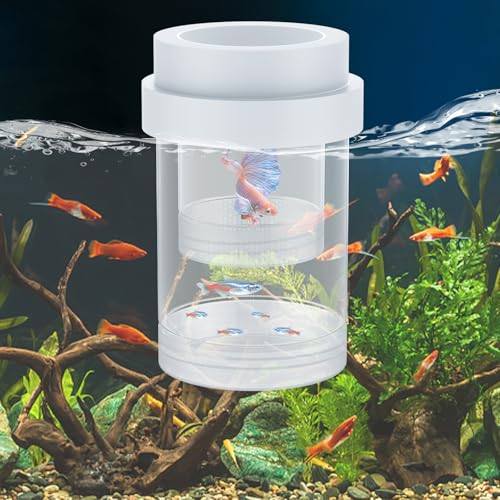 Pawfly Breeder Box for Fish Tank, Aquarium Fish Breeding Box, Floating Guppy Breeder Box, Baby Fish Separator for Aquarium, Plastic Hatchery Incubator Isolation Box for Shrimp Betta Clownfish, Medium - size: Medium
