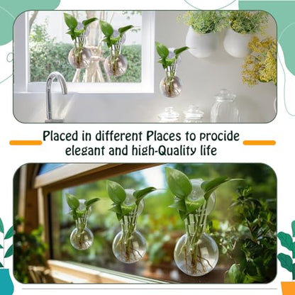 6 Pack Window Propagation Stations Plastic Wall Hanging Planter with Suction Cups Brush Window Suction Plant Holder Vases Tubes Terrarium for Home Office Decor (Bulb)