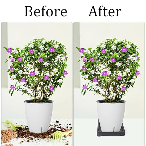 6 Inch Black Plant Saucer Tray, Heavy Duty Resin Flower Pot Drip Tray, Water Catcher for Indoor Outdoor Planters and Seed Starting - size: 6 Inch