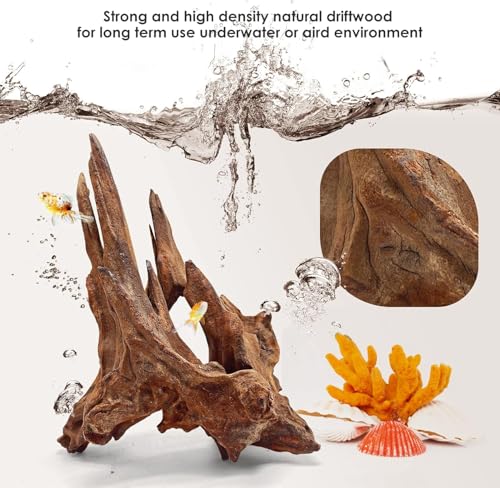 Natural Small Aquarium Driftwood for Fish Tanks & Reptile Terrariums – 100% Safe Fish Tank Decorations, Unique Twisted Branches 5-Piece 4-8 Inch Low Tannin, Easy to Sink - size: Mopani Driftwood 4 to 8 Inch (Pack of 5)