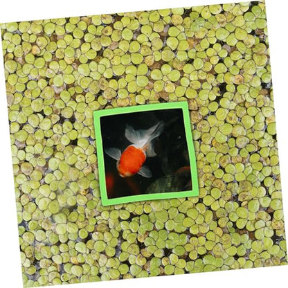 MERRYHAPY 5pcs Floating Plant for Aquariums Holders for of Aquatic Plants Easy Feeding for Fish Tanks