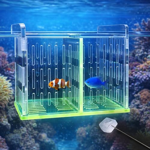 Acrylic Breeding Box for Fish Tank, Aquarium Hatchery Incubator with Long Handle Net, Breeder Isolation Acclimation Box for More Baby Fish & Shrimp (Green, 9x5.3x6.7 in) - color: Green, size: 9x5.3x6.7in