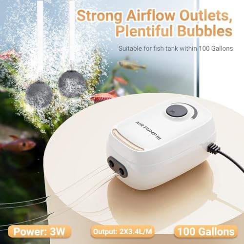 3W/6W Aquarium Air Pump, Adjustable Aquarium Aerator with 2-Outlet, Super-Powerful & Quiet Oxygen Pump for Fish Tanks up to 100/200 Gallon with Full Accessories.(Upgrade Noise-Reduce) - style: 3W/AR-10 NEW