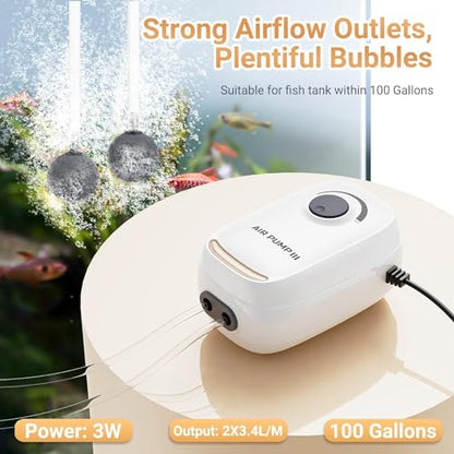 3W/6W Aquarium Air Pump, Adjustable Aquarium Aerator with 2-Outlet, Super-Powerful & Quiet Oxygen Pump for Fish Tanks up to 100/200 Gallon with Full Accessories.(Upgrade Noise-Reduce) - style: 3W/AR-10 NEW