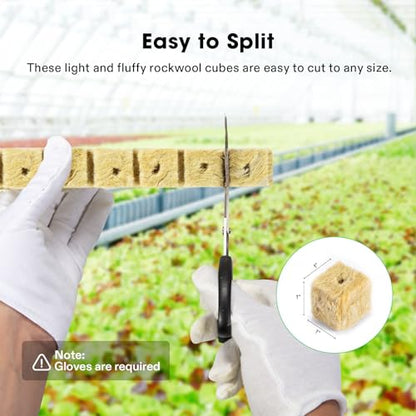 VIVOSUN 1 Inch Rockwool Cubes, 100 Plugs Grow Cubes for Hydroponics, Cuttings, Cloning, Plant Propagation, Seed Startling - size: 1"-100 Plugs