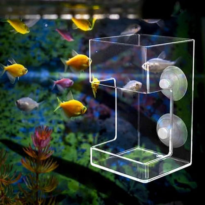 Fish Feeder Acrylic Dish Tray Fish Tank Prevent Water Turbulence Assembled Shrimp Feeder Worm Feeder Cherry Shrimp, Cuboid - color: Cuboid