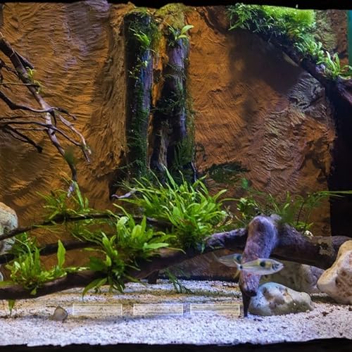 Toyvian Acrylic Shrimp Cave Fish Tank Hideout Shelter 5-Hole Aquarium Breeding Tube Ornament for Shrimp and Small Fish Landscaping