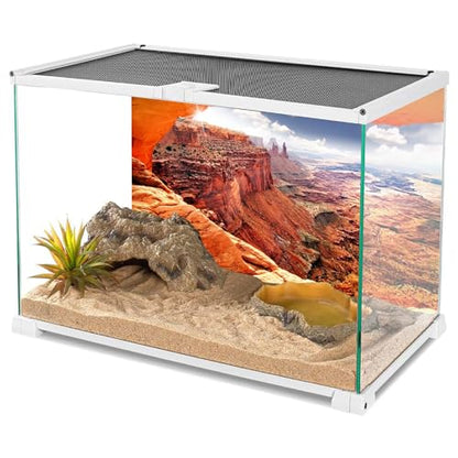 AWERT Stone Reptile Habitat Background Sky Oasis Mountain Cactus Sun and Desert Terrarium Background 72x16 inches Polyester Background - size: 72x16in/180x40cm