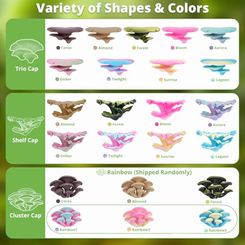 Mushroom Decor for Reptile Tank, Fish Tank, Pet-Safe Bearded Dragon Tank Accessories, Realistic Terrarium Plants for Leopard Geckos, Crested Geckos, Tree Frogs, Snakes (Lagoon, Shelf Cap)