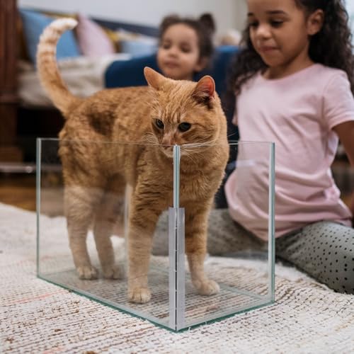 2 PCS Set of Acrylic Hinge 300 mm Continuous Piano Hinge 12" Acrylic Hinge 12" Hinge for Plexiglass Aquarium Lid Cabinet Box DIY Display 300x45 mm