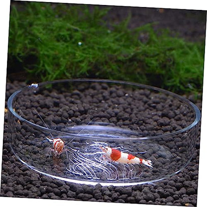 BESPORTBLE Clear Glass Shrimp Feeding Bowl Durable Crystal Dish for Fish Tank Floating Feeder for Shrimp and Fish Multi-Purpose Ornamental Supply for Aquatic Pets