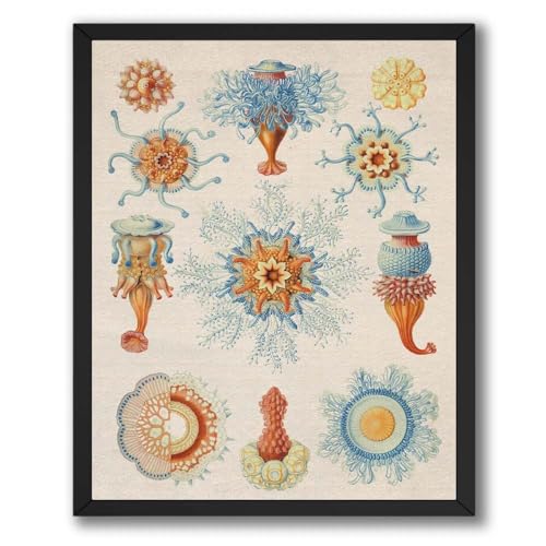 InkFlow Posters Underwater Life Canvas Print - Colorful Marine Organisms Illustration - Scientific Ocean Life Style - Living Room Bedroom Wall Decor - 8x10 Unframed Canvas Print - color: Style-19, size: 8"L x 10"W