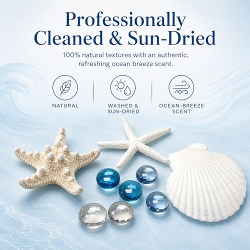 24 Pcs Starfish and Scallop Shells with Sea Glass, 3"-4" Large Natural Sea Shells for Crafts and Decorating, Seashell Decor for Beach Party, Wedding, Vase Filler, Christmas, Coastal Home DIY