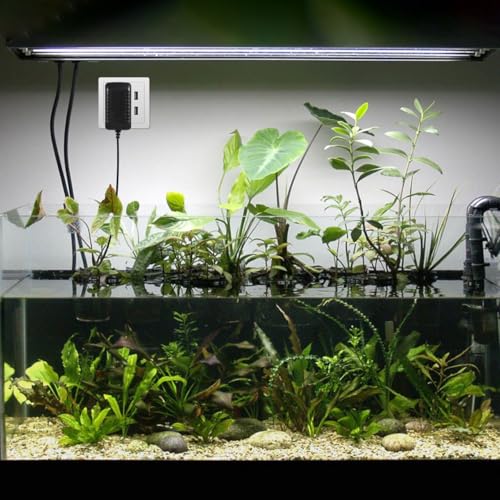 LED Power Adapter AC110-240V DC12V 1A Switching Power Supply Converter for Aquarium Fish Tank Light (US Plug)