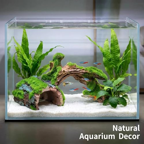 Reptile Hideout & Aquarium Cave Decor 2-Pack, Resin Hollow Log Hide for Fish Tank, Shrimp Turtle Lizard Betta Hiding Spot, Aquarium Ornament with Moss Look, 2.5"-4.1"