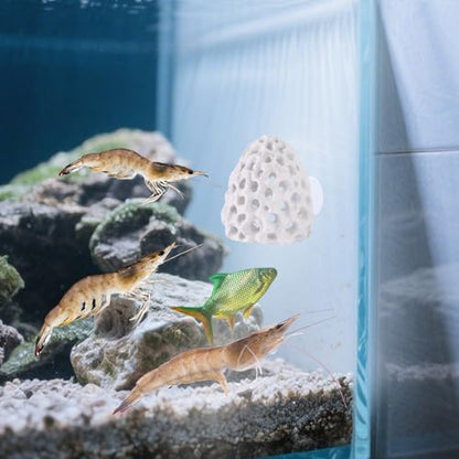 2pcs Shrimp Hides for Aquarium, Multi-Hole Shrimp Dome Hide House with Suction Cup Coral Design Betta Fish Toys Fish Tank Accessories for Guppy and More Hiding Resting (White)