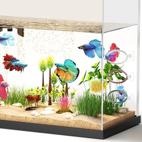 4 PCS Betta Fish Exercise Ring, Soft Silicone Betta Training Loop with Suction Cup, Aquarium Feeding Rings Fish Enrichment Toys, ID 50 mm (Red, Green, White, Black)