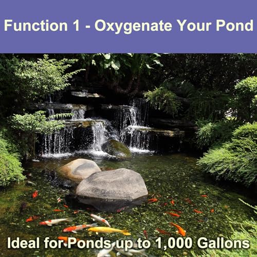 AquaMiracle Koi Pond Aerator for Pond up to 1000 & 2000 Gallons, All-in-One Pond Air Pump Aeration Kit with Air Stones Airline Tubing Check Valves - style: ≤ 1,000 Gallon Pond