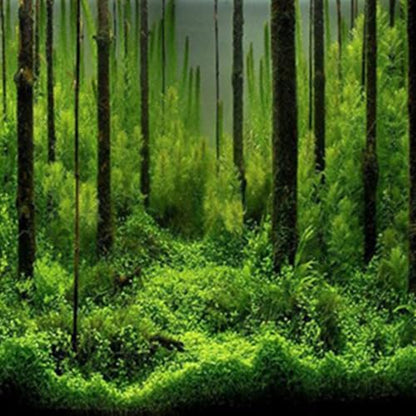 24In Self-Adhesive PVC Aquarium Background Easy Install Decor Paper Water Proof Fish Tank Backdrop with Vivid Underwater Forest Design