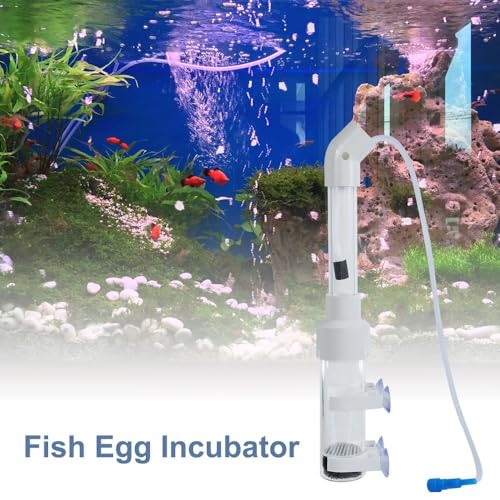 Aquarium Fish Egg Incubator, Tumbler Cichlids Fish Isolation Hatchery with Suction Cups, 40mm Mouth-Brooding Fish Breeding Box for Fish Egg Shrimp - size: 50mm