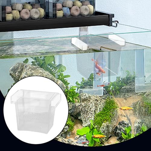 Fish Hatching Container - Floating Fish Breeder Box for Aquarium, Isolation & Hatchery Tank | Fish Nursery Box, Divider Incubator Container for Betta Fry Guppy Angelfish Acclimation & Feeding - color: Square