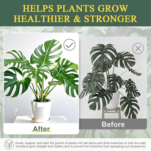 Plant Stem Support 2 Pack, Adjustable Metal Monstera Plant Support Small & Large, Unique Design Plant Supports for Indoor Plants Moss Pole Growth (Gold) - size: 5.5*5.9/1, 6.3*7.5/1