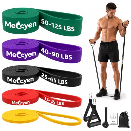 5-Pack Resistance Bands Set, Exercise Bands with Handles & Door Anchor, Stretch Bands for Pull Up Assistance, Home Gym & Strength Training