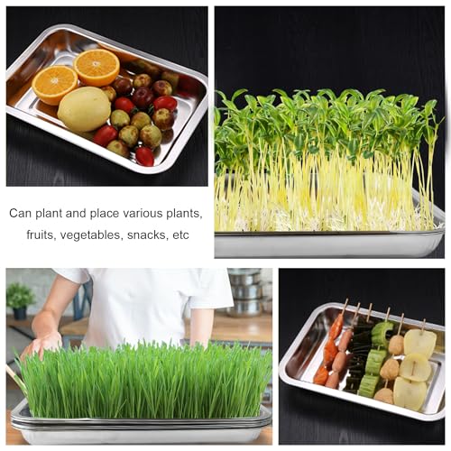 RooTrimmer 10 Pack Stainless Metal Trays, Stainless Steel Seed Starter Carry Tray for Nursery Seedling Pots Water Collection Transplantation (10.63 inch×14.17 inch, 1.18" Height) - size: Small-10P