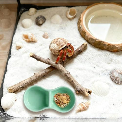 2 Pack Ceramic Hermit Crab Food Dish Hermit Crab Water Bowl Reptile Water Bowl Aquarium Accessories for Snail Frog Bearded Dragon Lizard Gecko Tortoise