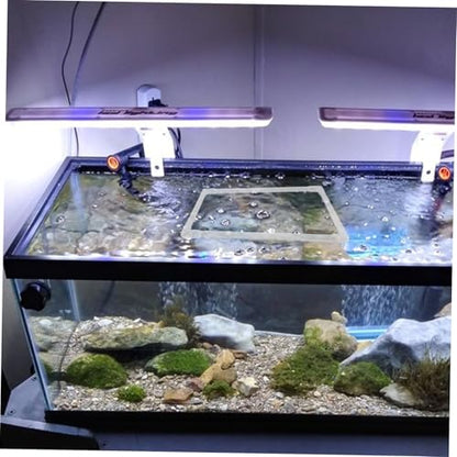1Set Aquarium Floating Plant Ring Feeding Isolation Barrier for Freshwater Tanks Stable Floating Plant Holder Preventing Fish Disturbance Easy Integration with Aquarium Environment
