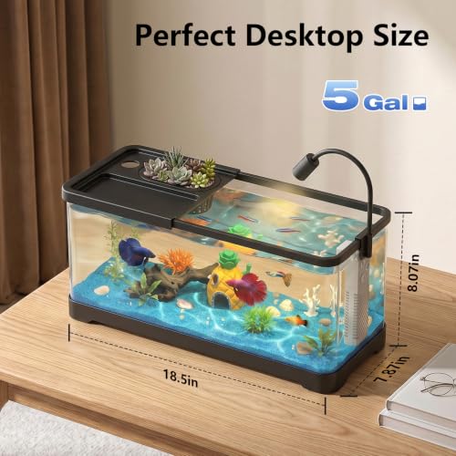 5 Gallon Fish Tank Aquarium Starter Kit with Filter and Light, All in One Small Fish Tank for Betta, Kids & Desktop Use, Self Cleaning Nano Aquarium with Lid(Large Black)
