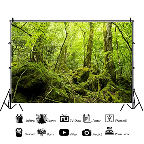 7x5ft Peaceful Natural Scenery Backdrop Evergreen Forest Rustic Landscape Sunshine Tree Photography Background Kids Birthday Party Banner Adventure Theme Polyester Studio Props Portrait Photo - size: 7x5ft-P