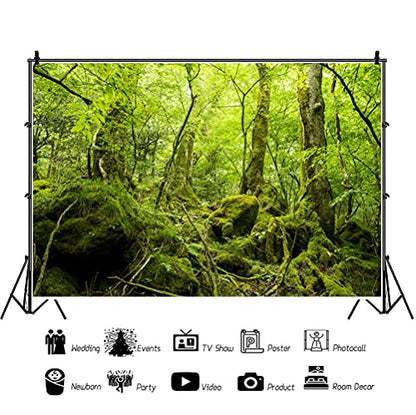 5x4ft Peaceful Natural Scenery Backdrop Evergreen Forest Rustic Landscape Sunshine Tree Photography Background Kids Birthday Party Banner Adventure Theme Polyester Studio Props Portrait Photo - size: 5x4ft-P