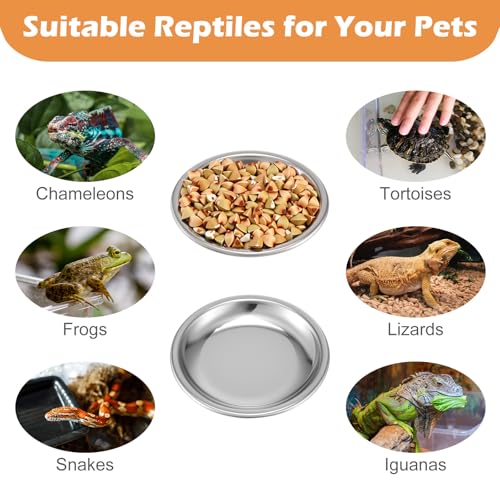 6 Pcs Hermit Crab Food and Water Bowl, Small Food Dish Water Dish Tiny Stainless Steel Feeding Dishes for Hermit Crab Cricket Snail Gecko Insect