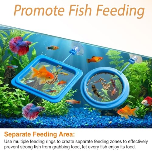 5pcs Fish Feeding Ring, Betta Feeding Ring and Hammock, Feeding Ring for Fish Tank and Aquarium, Assorted Blue Circular and Square Rings with Grass and Tunnel Accessories for Fish Feeding and Resting