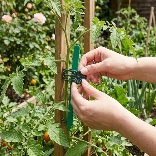 100 Pcs Plant Clips for Climbing Plants, GPlastic Plant Support Clips for Greenhouse and Balcony Gardening