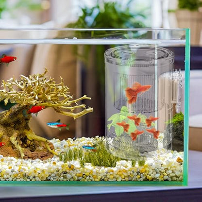 Breeder Box for Fish Tank – Mini Aquarium Isolation Container, Clear Acrylic Hatchery with Suction Mount, Acclimation and Observation Tool | Ideal Breeding Fry, Small Fish, Shrimp, Betta, Tropical