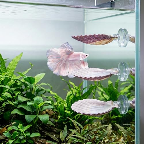 3PCS Betta Hammock Shells, Natural Small Fish Tank Decorations, Betta Fish Tank Accessories, Aquarium Decorations, Aquarium Hideout Habitat for Sleeping Resting Hiding Playing (Purple) - color: Purple