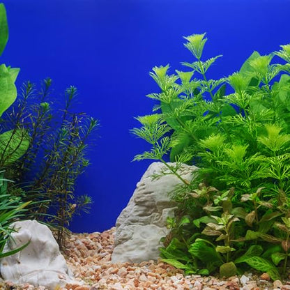 Aquarium Background Sticker Self-Adhesive Fish Tank Wallpaper Blue 45cm Height 10m Roll Underwater Scenery Decor for Fish Tank Aquatic Pets