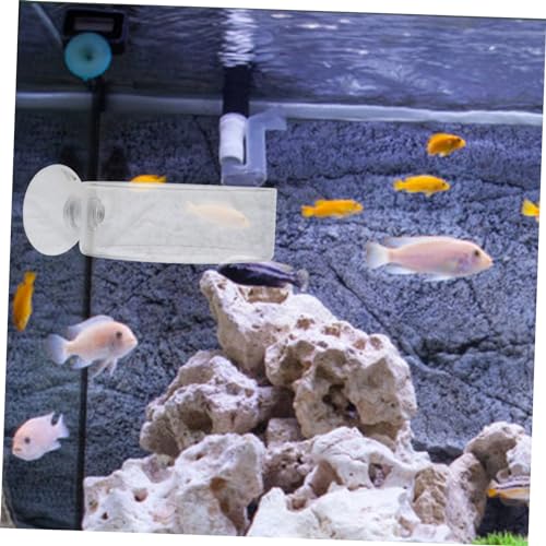 BESPORTBLE 2pcs Glass Shrimp Feeder Dishes for Aquariums Easy to Install Crystal Feeding Bowls for Shrimp and Fish Food Convenient and Practical Aquarium Accessories