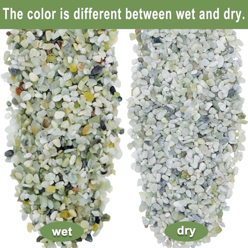 3.5/10.5 OZ Natural Aquarium Gravel River Rocks, 0.2-0.8 Inch Polished Jade Bean Pebbles, Smooth Decorative Stones for Fish Tank, Aquarium Plants, Garden Landscaping (Nature,3.5)
